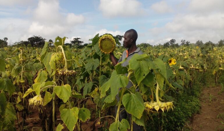 plant Growth in Uganda